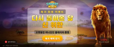 야생의 전율을 느끼는 사파리 투어 banner